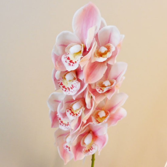 Real Touch Artificial Cymbidium Orchid Pink 70cm Artificial Flowers